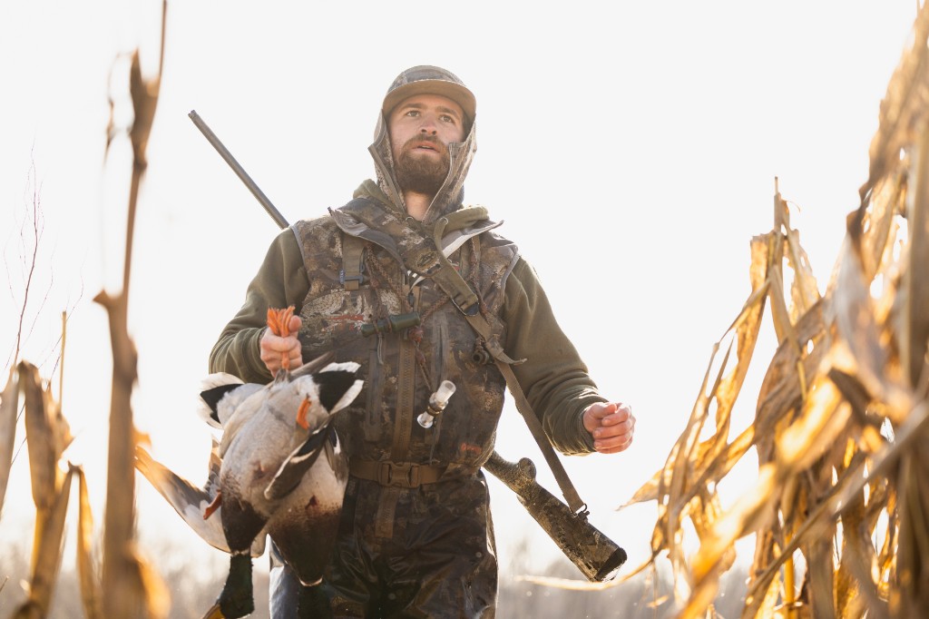 Trey walking a harvested corn field with ducks